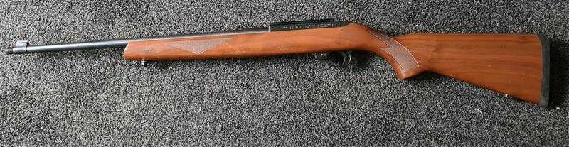 RUGER .22 LR 10 22