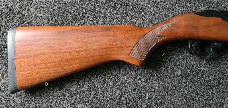 RUGER .22 LR 10 22