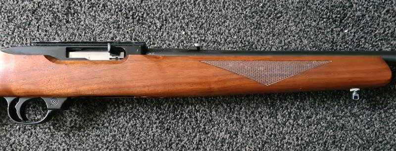 RUGER .22 LR 10 22