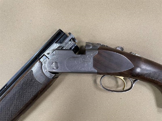 BERETTA 12 Gauge SILVER PIGEON 1