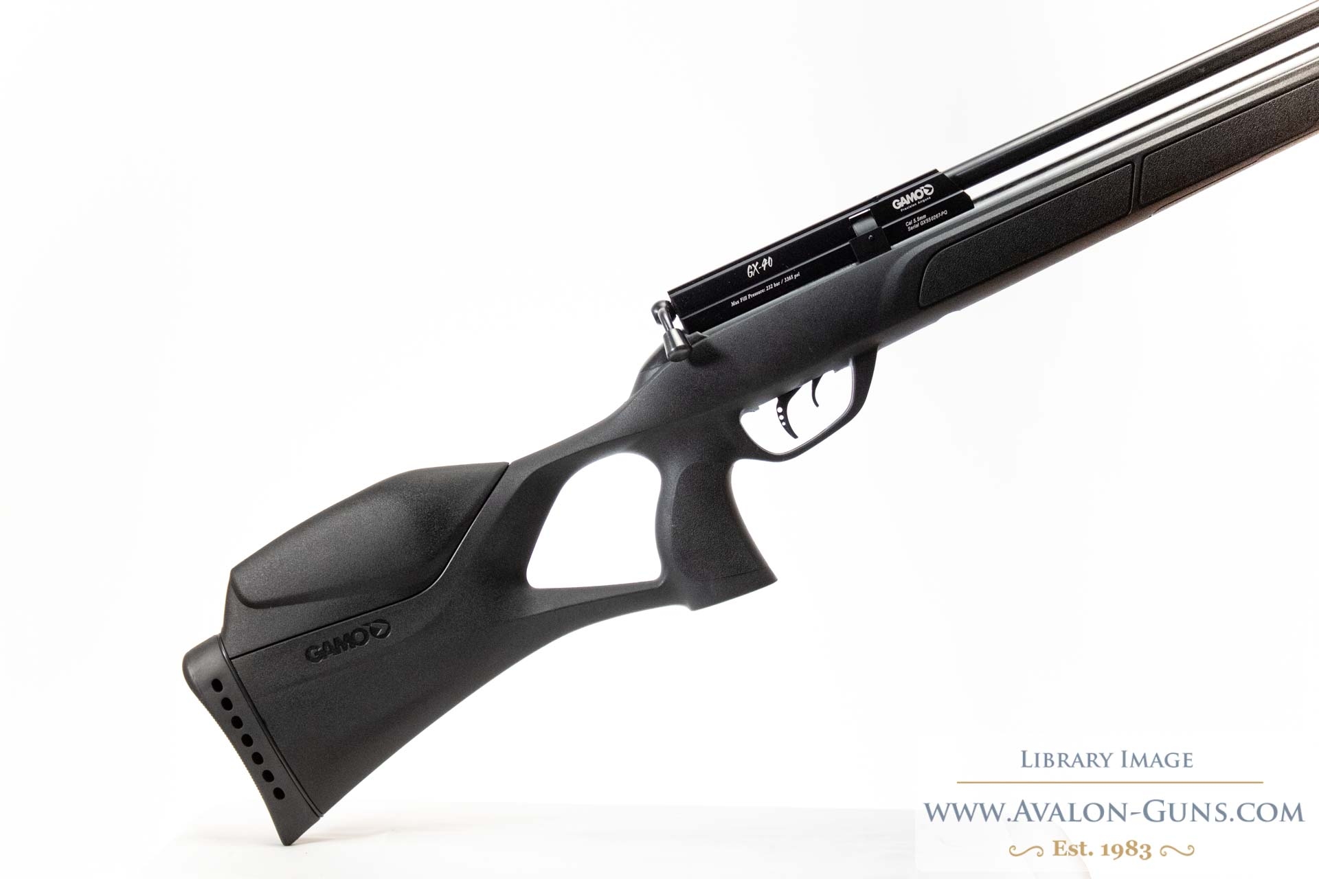 GAMO .22 GX40