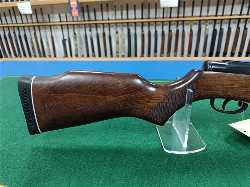 GAMO .22 HUNTER 1250