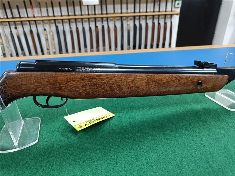 GAMO .22 HUNTER 1250