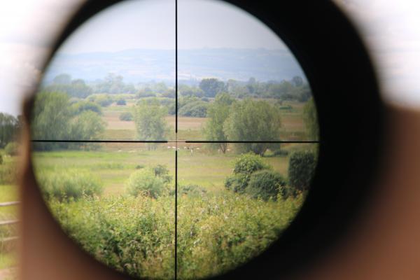 Bushnell ELITE 4-16  x 50, NEAR-NEW 4-16x50