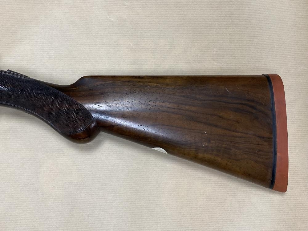 THOMAS WILD 12 Gauge