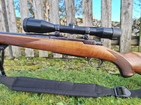 RUGER .243 M77