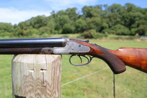 CARTER 16 Gauge 1 PRETTY SS, CHEAP