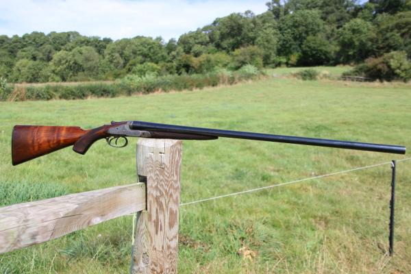 CARTER 16 Gauge 1 PRETTY SS, CHEAP