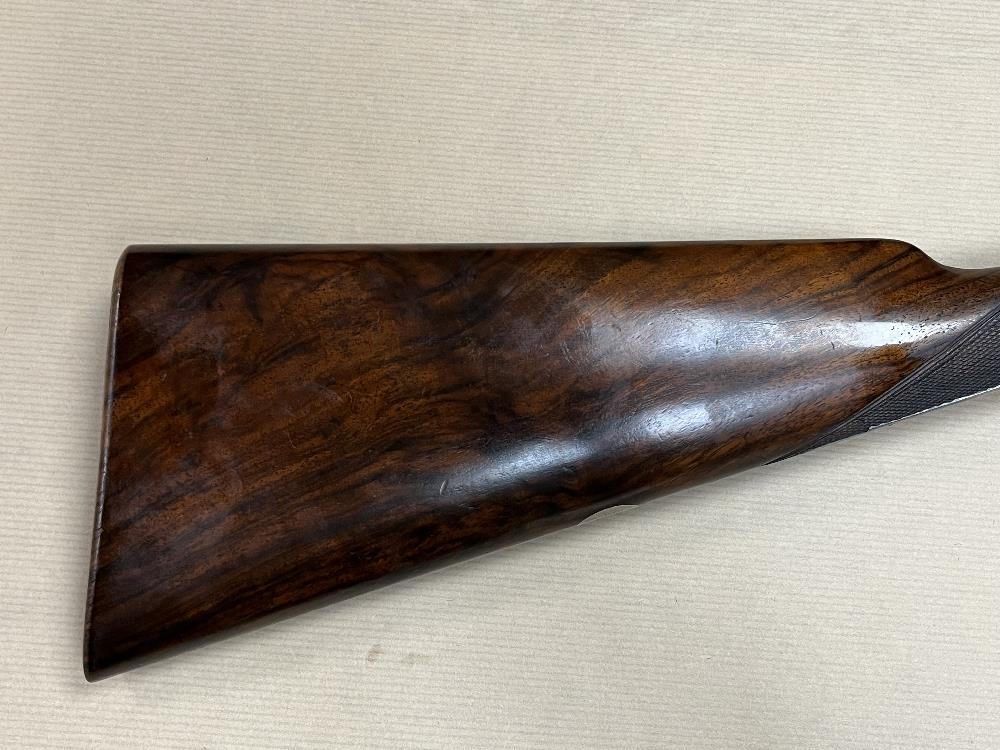 STEPHEN GRANT 12 Gauge SLE