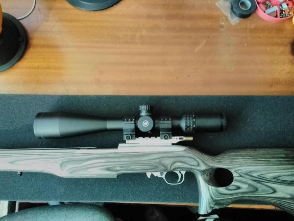 RUGER .22 LR 10 22