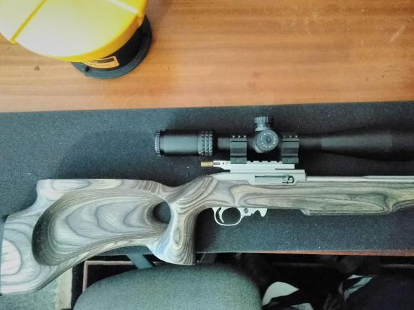 RUGER .22 LR 10 22