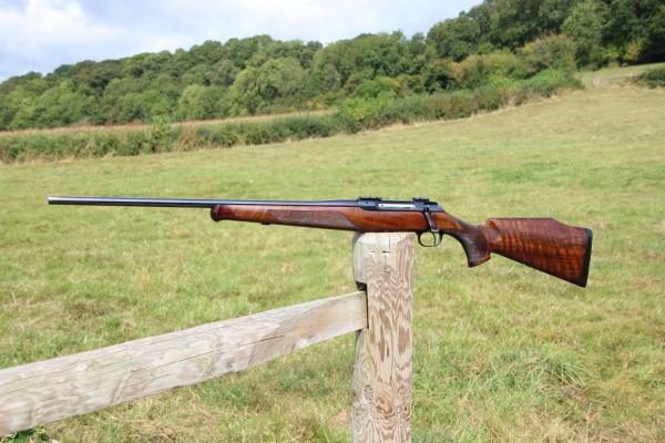 SAUER .308 202 LEFT HAND; GREAT BORE, HANDSOME WALNUT