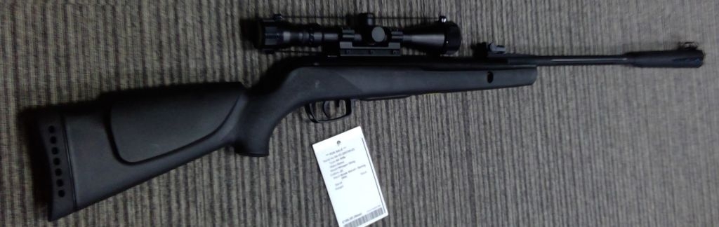 GAMO .22 WHISPER STING