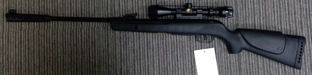 GAMO .22 WHISPER STING