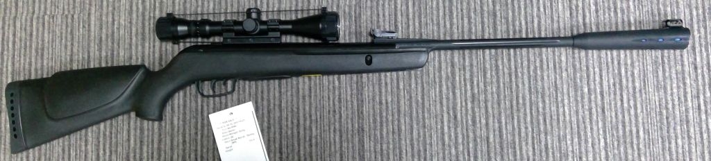 GAMO .22 WHISPER STING