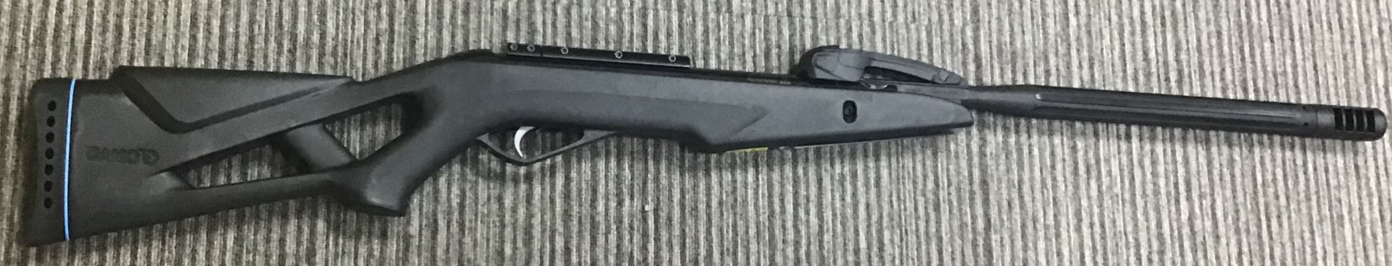 GAMO .22 WHISPER X SWARM