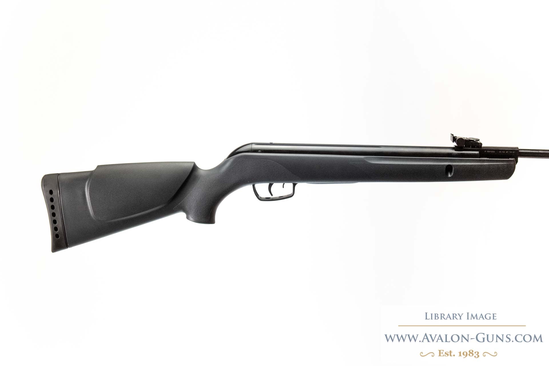 GAMO .22 HORNET