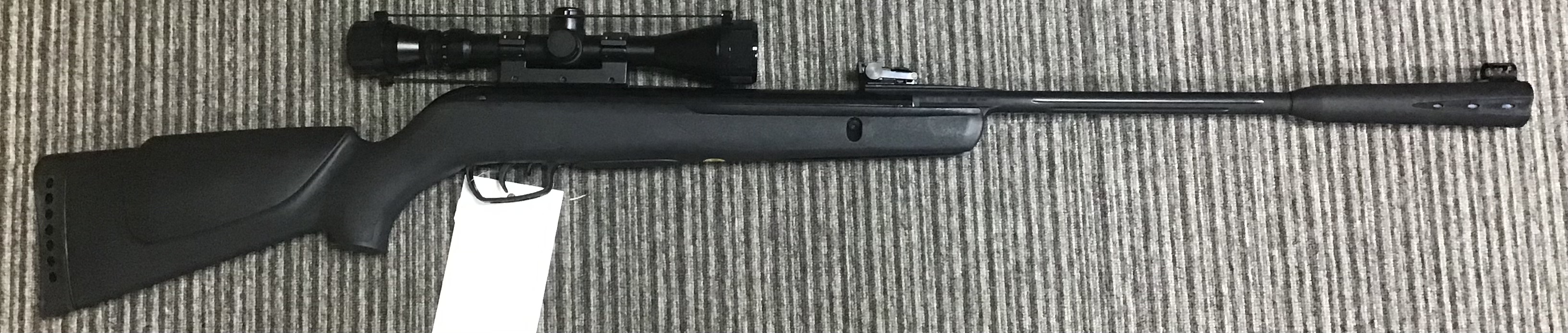 GAMO .22 WHISPER STING