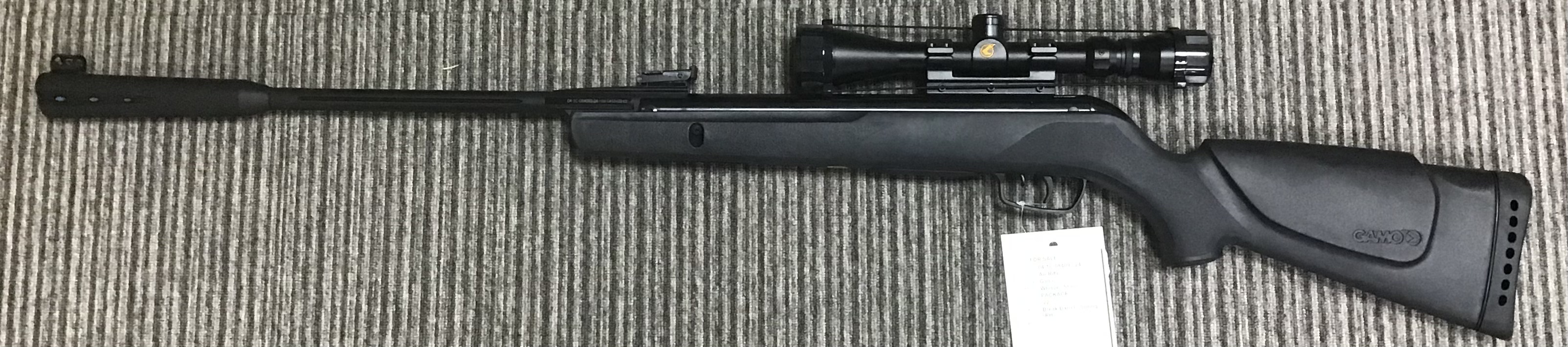 GAMO .22 WHISPER STING