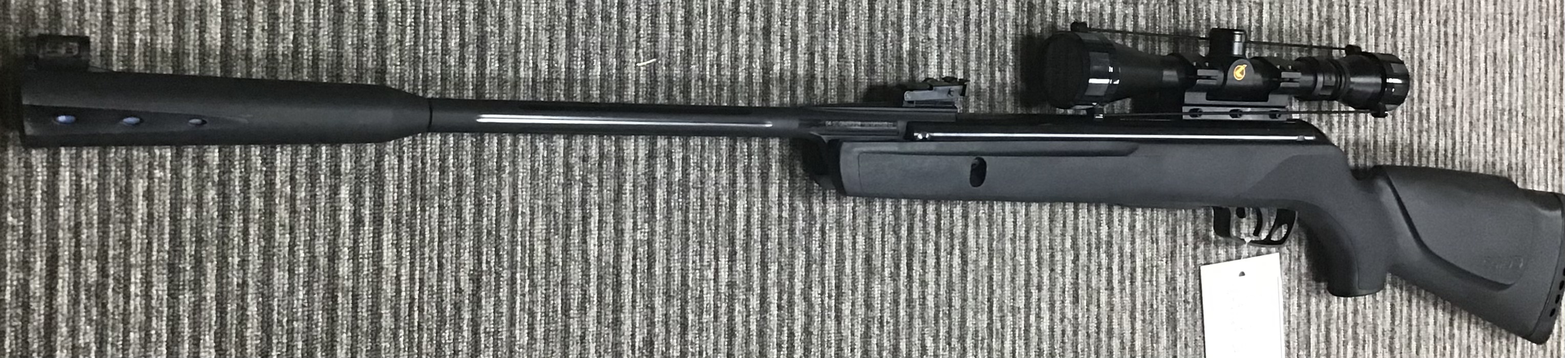 GAMO .22 WHISPER STING