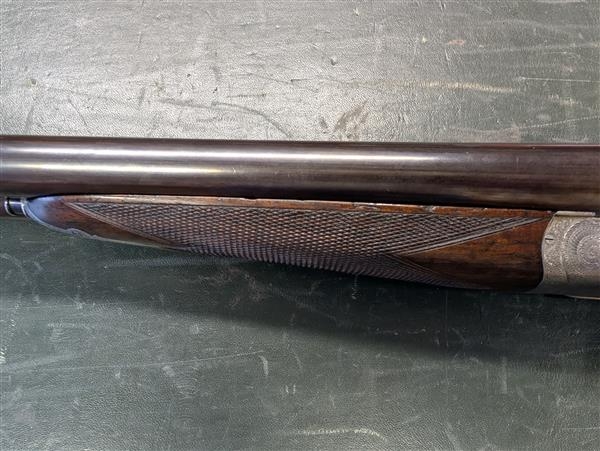 WILLIAM POWELL & SON 12 Gauge