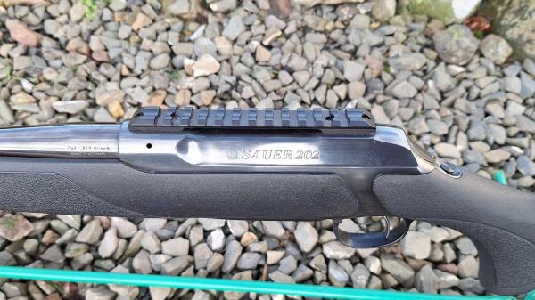 SAUER .243 202 CLASSIC