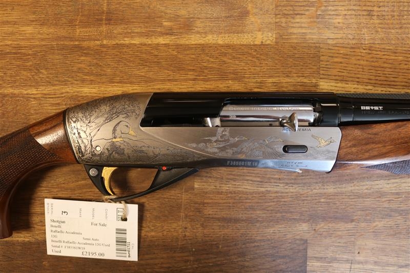 BENELLI 12 Gauge RAFFAELLO ACCADEMIA