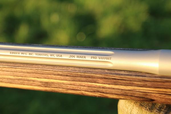 KIMBER .204 Ruger 84M PRO VARMINT STAINLESS FLUTED; NO PITS!