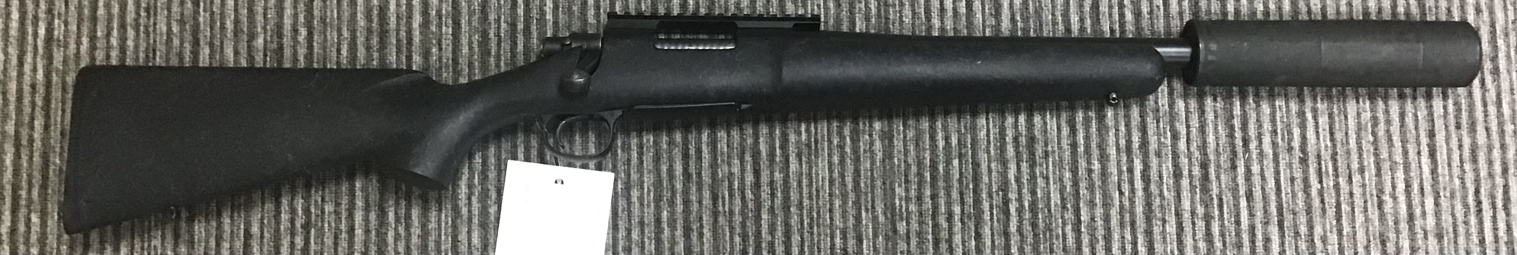 REMINGTON .223 700