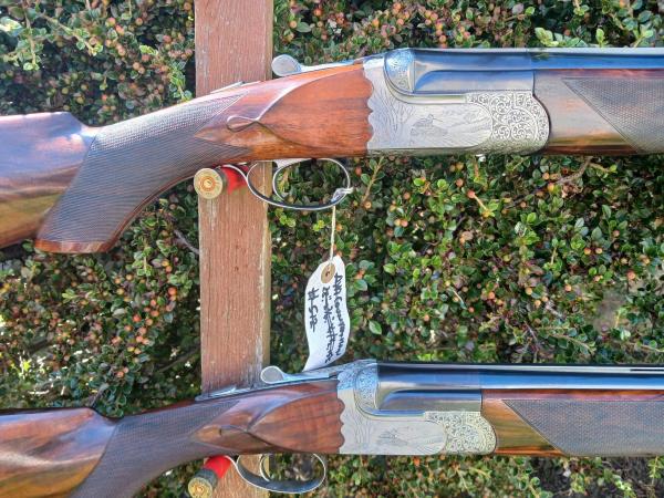 ALEX MARTIN 12 Gauge Continental