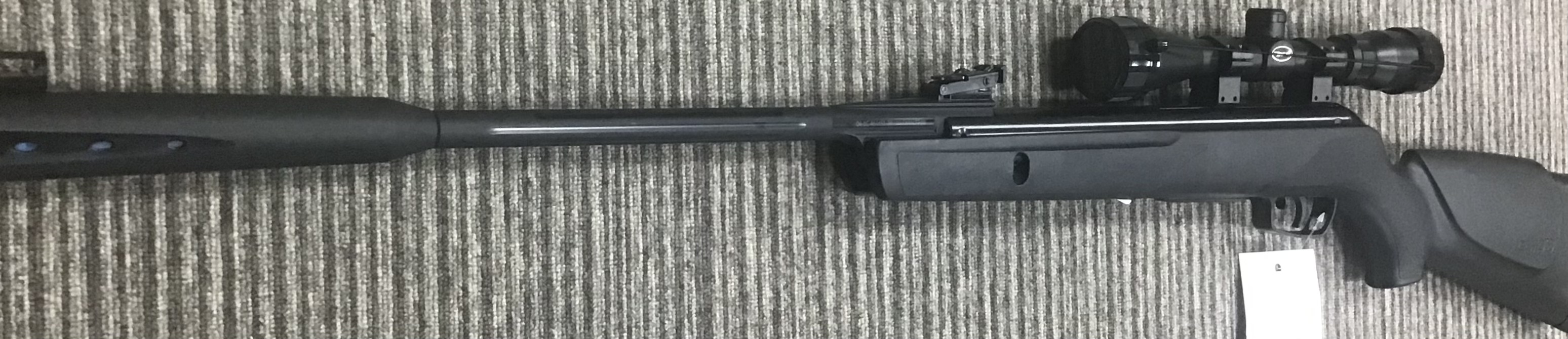 GAMO .22 WHISPER STING