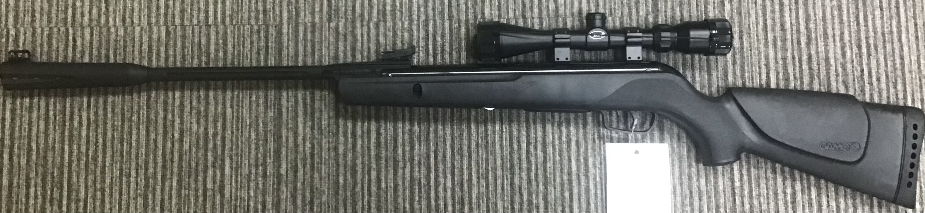 GAMO .22 WHISPER STING