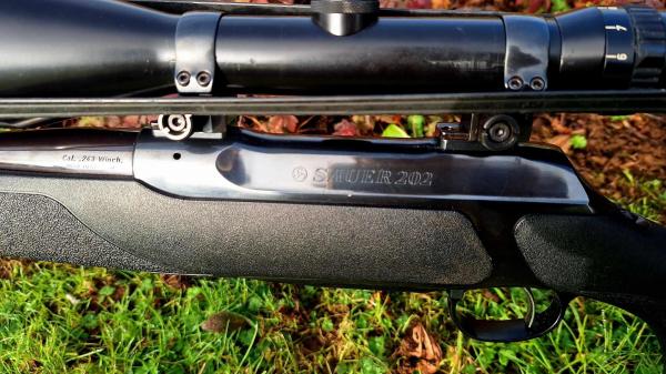 SAUER .243 202 CLASSIC