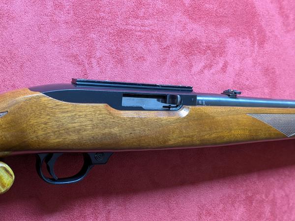 RUGER .22 LR 10 22