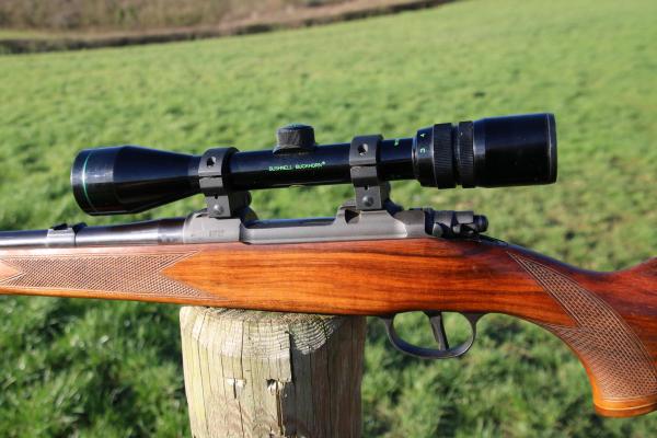 CZ .243 600 SERIES, WITH SCOPE, CHEAP & GOOD!